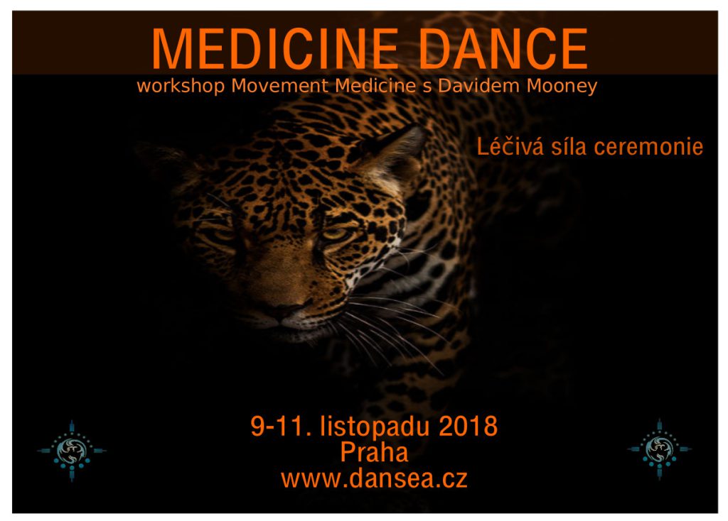 Medicine Dance Praha David Mooney